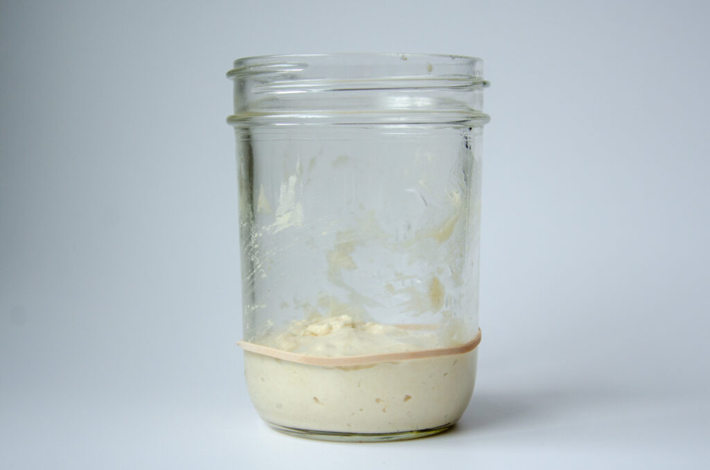 a jar with a rubber band that's filled with sourdough starter