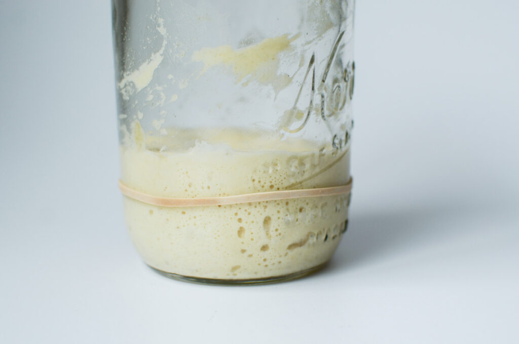 rehydrating a sourdough starter with a rubber band around the jar.