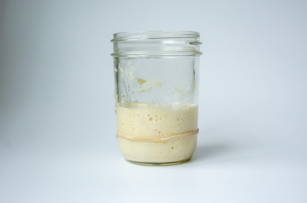 a jar with sourdough starter with a band around the middle