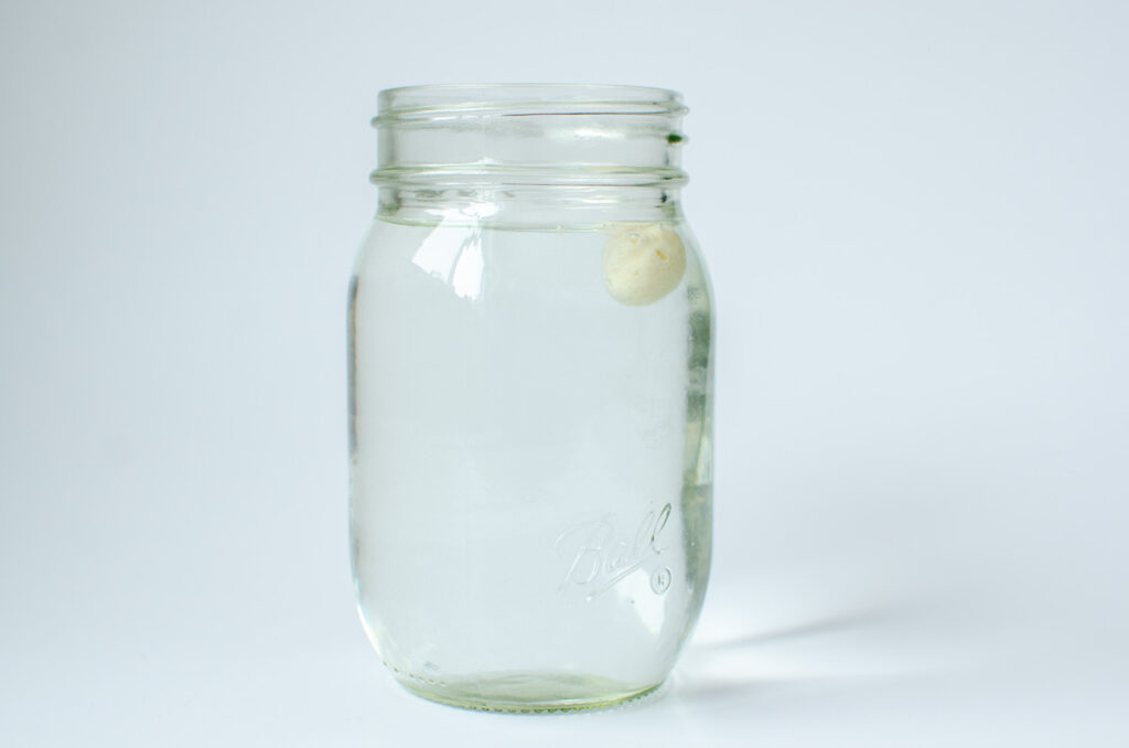 a jar of water with a small amount of floating sourdough starter