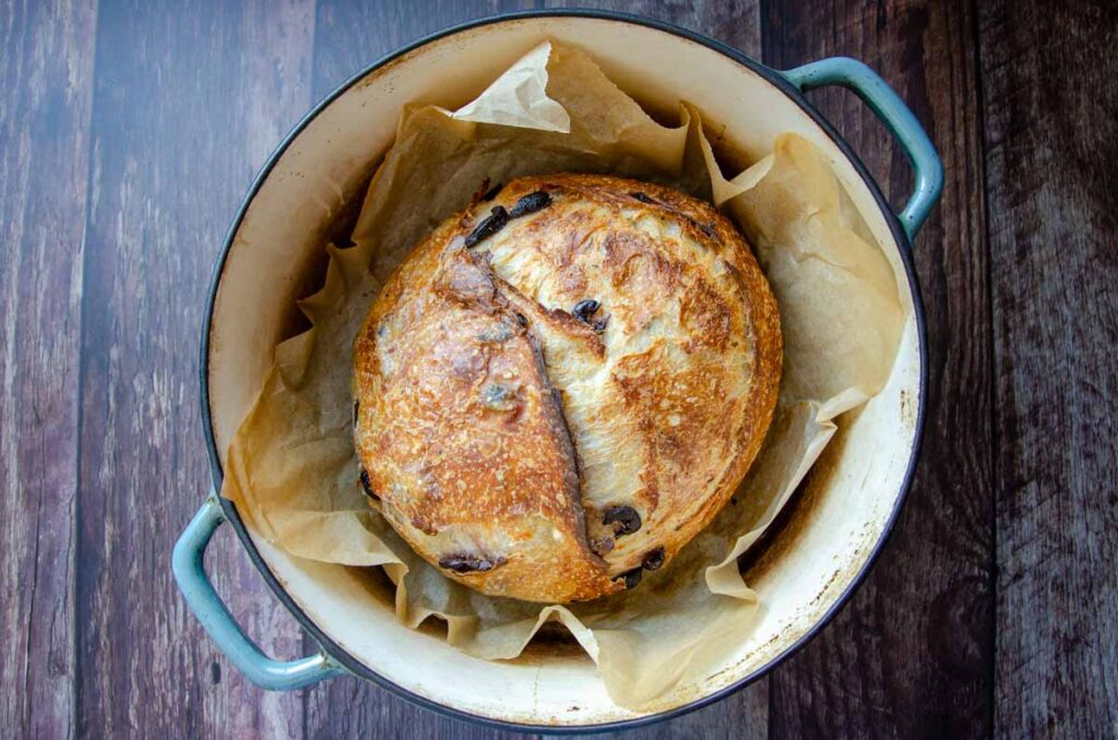 baked olive sourdough bread in a Dutch oven