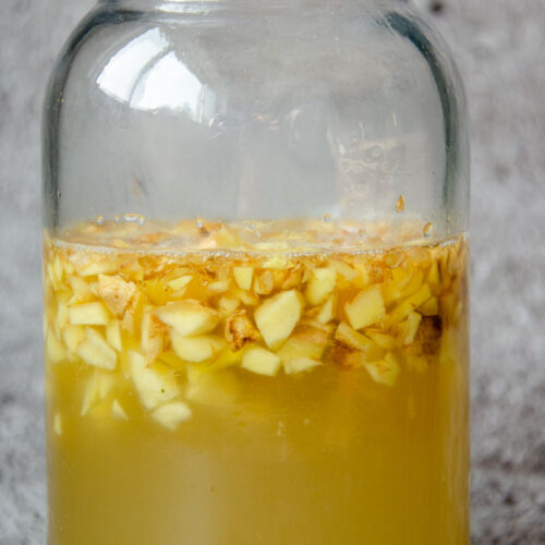 ginger bug in a large glass jar