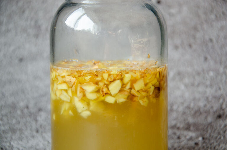 ginger bug in a large glass jar