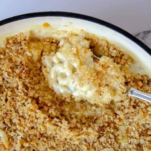 a spoonful of baked sourdough mac and cheese with bread crumbs