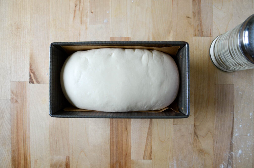 placing the sourdough sandwich bread dough into a loaf pan
