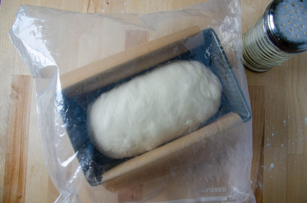 sandwich bread dough in  loaf pan in a plastic bag