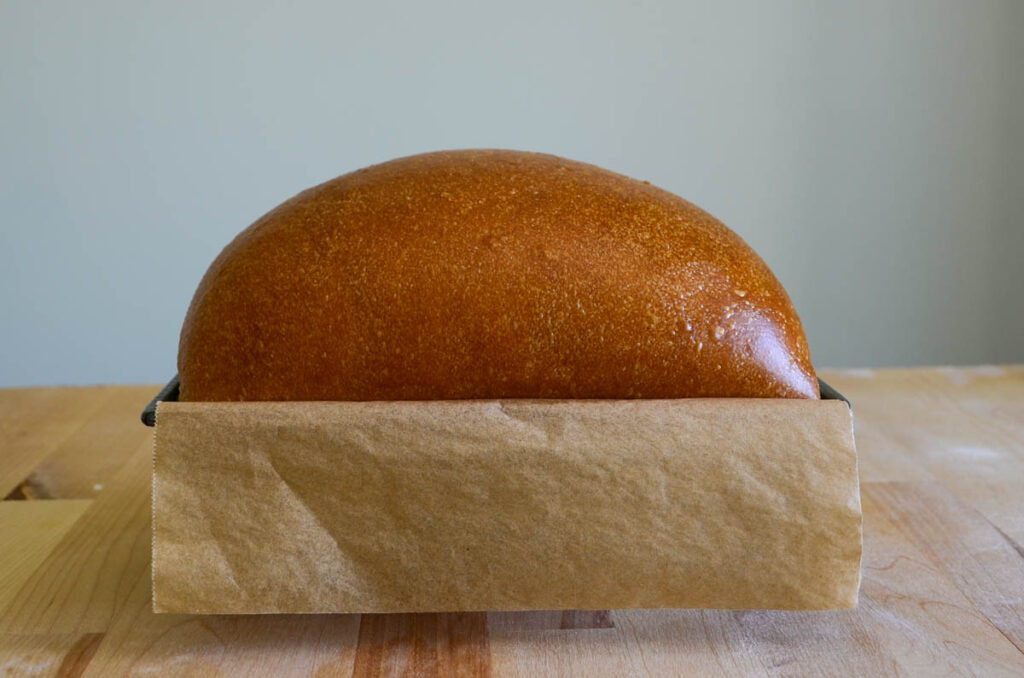 baked sourdough sandwich bread in a pan 