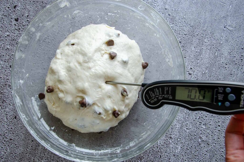Thermometer reading 70 degrees in bread dough