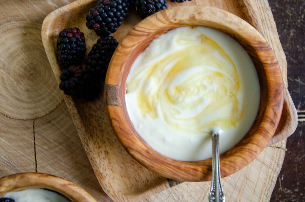 a bowl of homemade Greek yogurt with a swirl of honey