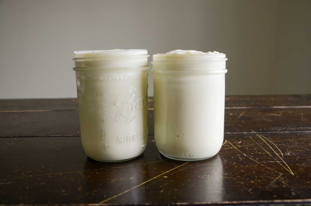homemade Greek yogurt in two pint size mason jars