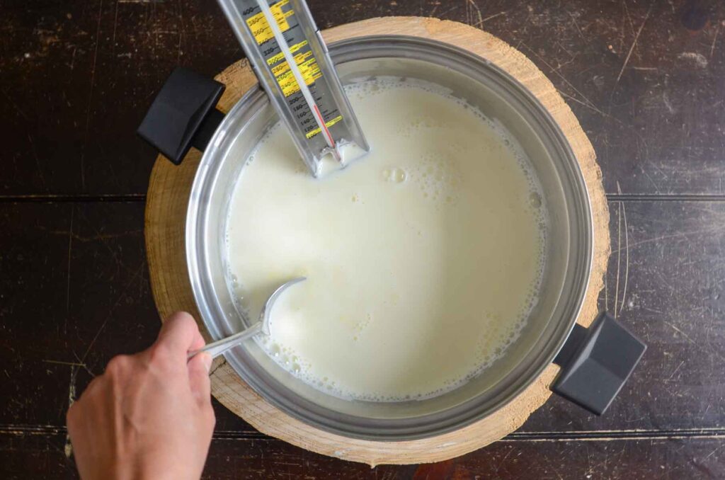 stirring milk and yogurt starter into warm milk in a large pot.