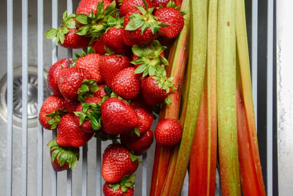 strawberries and stalks of rhubarb on a rack