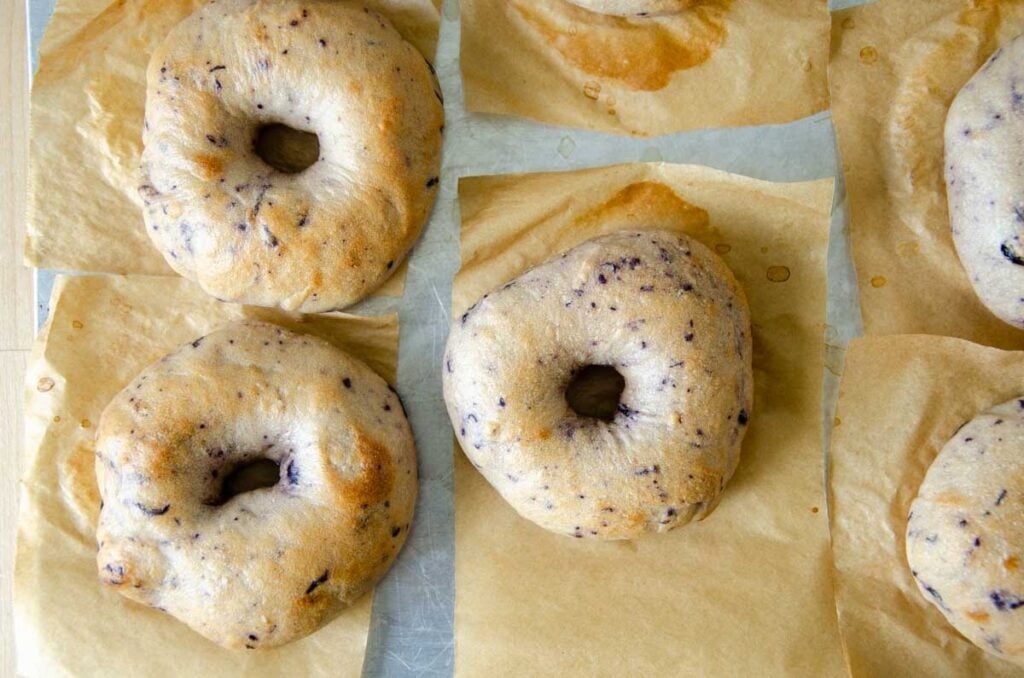 baked sourdough blueberry bagels 