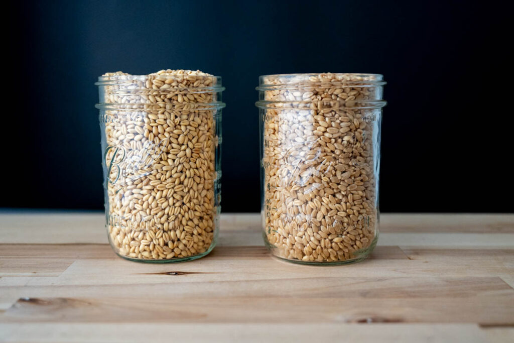 two jars of wheat berries