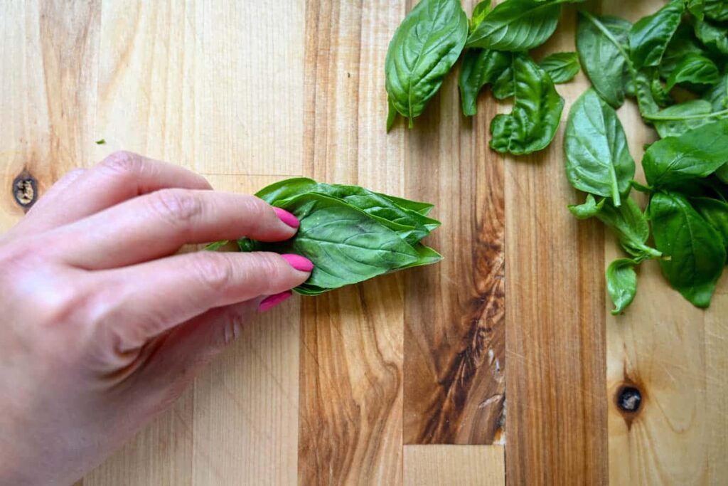 stacking fresh basil leaves on top of each other