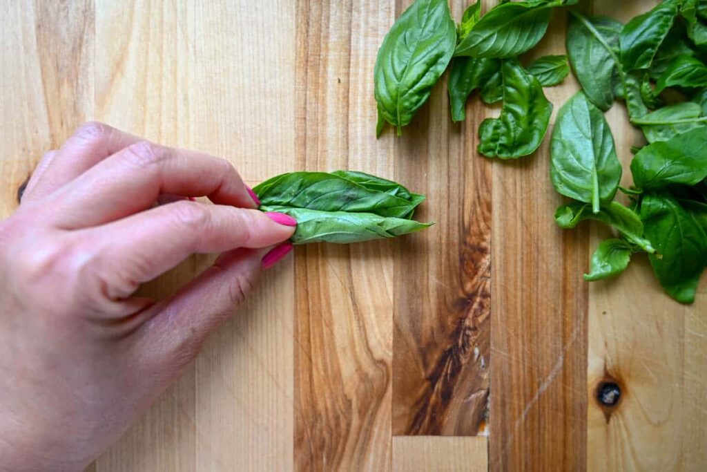 rolling fresh basil leaves