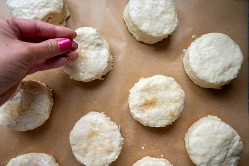 adding sugar on sourdough shortcakes on a parchment lined baking sheet