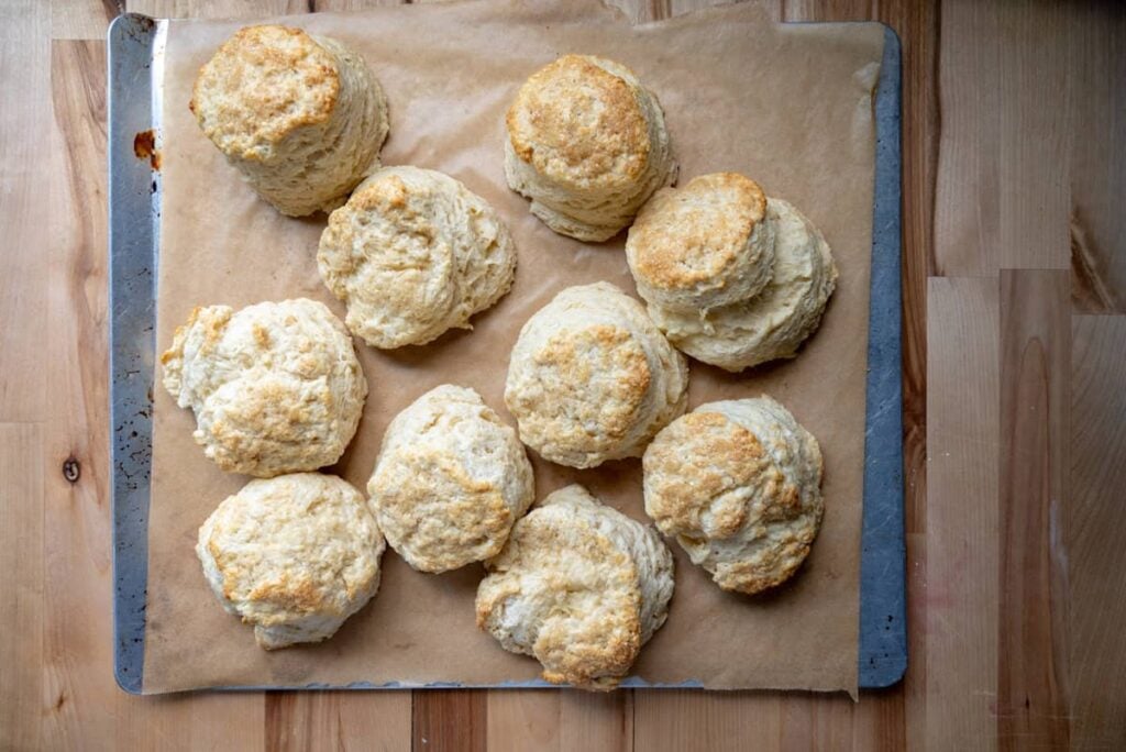 baked sourdough shortcakes on a parchment lined baking sheet