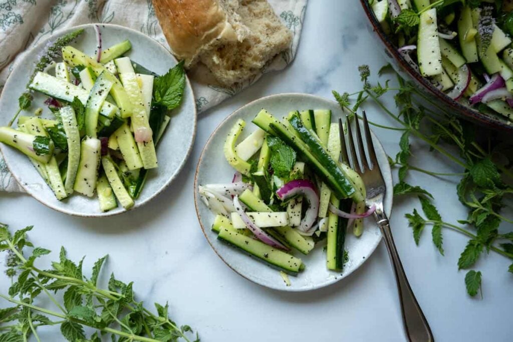 two small plates of summer cucumber zucchini salad