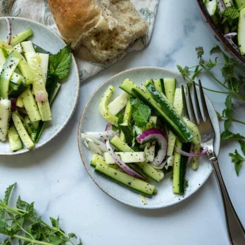 two small plates of summer cucumber zucchini salad