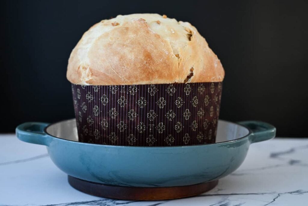 baked sourdough panettone in a paper mold in a shallow braiser