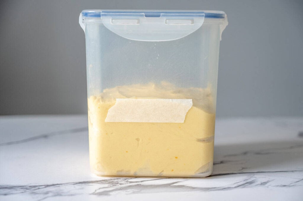 panettone dough in a plastic storage container
