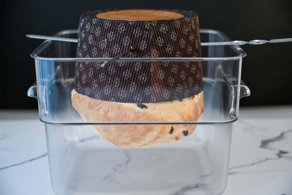 baked sourdough panettone hanging upside down in a clear container