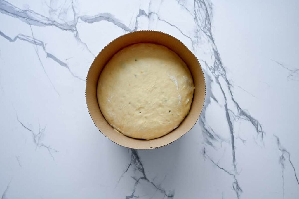 placing sourdough panettone dough into a paper panettone mold
