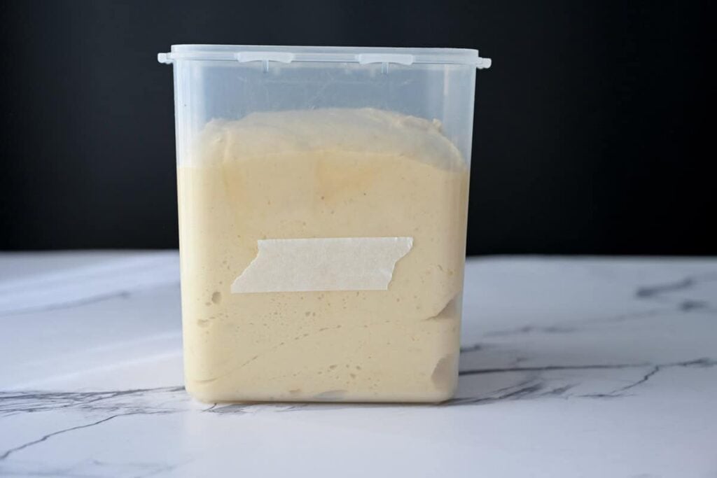 sourdough panettone bread dough after bulk ferment