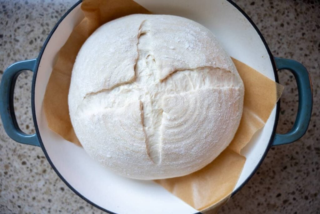 a scored loaf of sourdough bread dough on a piece of parchment paper in the Dutch oven