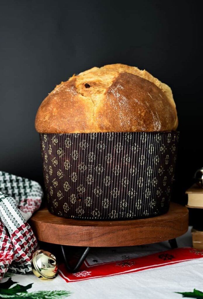 sourdough panettone bread loaf in paper panettone pan