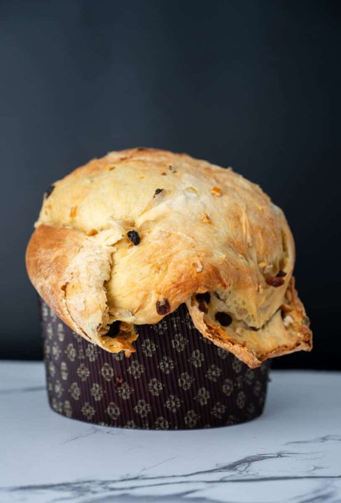 a sourdough panettone loaf erupting out of the mold 